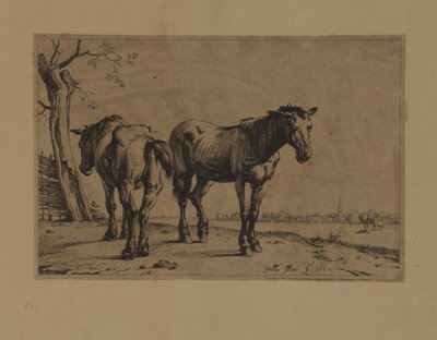 Dos caballos de Paulus Potter