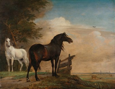 Dos caballos en un prado cerca de una puerta
Dos caballos cerca de una puerta en un prado de Paulus Potter