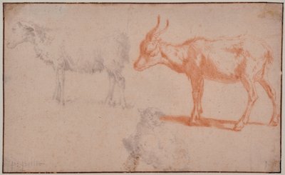 Dos ovejas y una cabra (estudios sobre animales) de Paulus Potter