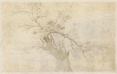 Estudio de un árbol nudoso de Paulus Willemsz. van Vianen
