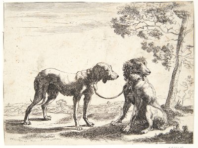 Dos perros atados de Paulus van Hillegaert (II)