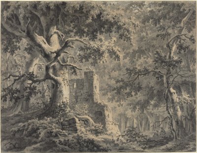 Ruinas junto a un arroyo en el bosque de Paulus van Liender