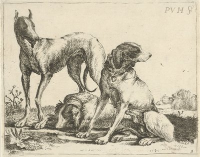 Tres perros Diferentes perros (título de la serie) de Pauwels van Hillegaert
