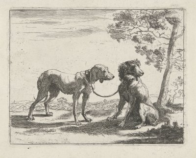 Dos perros Perros (título de la serie) de Pauwels van Hillegaert