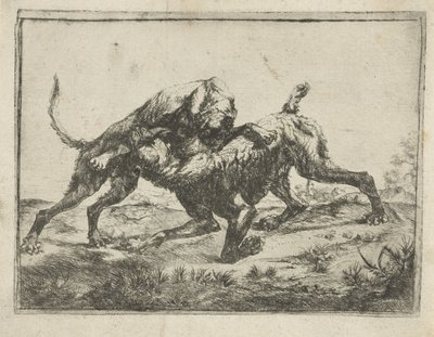 perros de pelea de Pauwels van Hillegaert