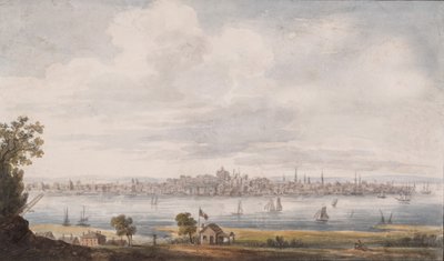 Albany, Nueva York de Pavel Petrovic Svin