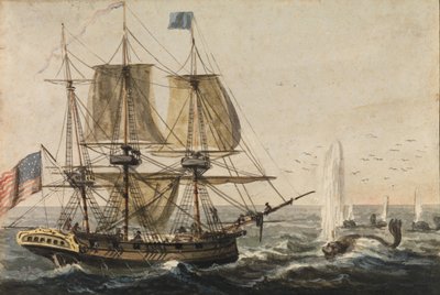 Reabasteciendo la despensa del barco con bacalao en la costa de Terranova, 1811-ca. 1813 de Pavel Petrovic Svin