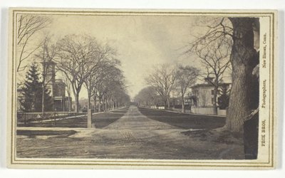 Avenida Hillhouse de Peck Brothers