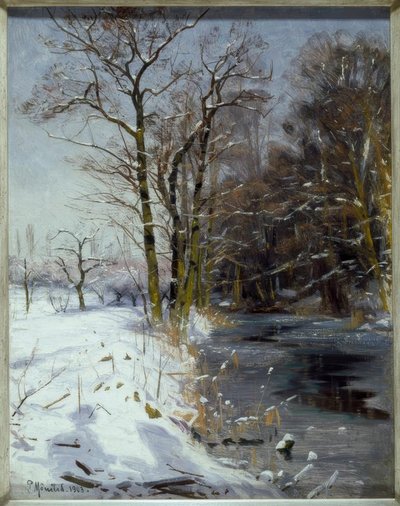 Día soleado de invierno de Peder Monsted