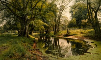 Agua tranquila en el bosque de Peder Monsted