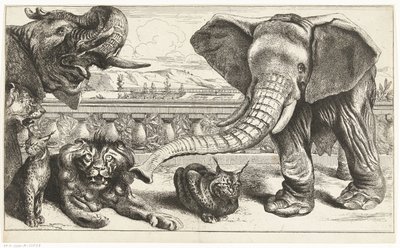 Elefantes, leones y linces en los jardines de Versalles de Peeter Boel (attributed to)