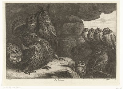 Búhos en una cueva des Ducs (título sobre objeto) Birds from the Menagerie of Versailles (título de la serie) de Peeter Boel (attributed to)