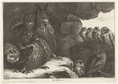 Búhos en una cueva des Ducs (título sobre objeto) Birds from the Menagerie of Versailles (título de la serie) de Peeter Boel (attributed to)