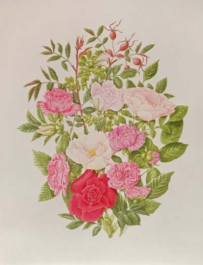 Varias rosas rosadas (acuarela) de Peggy Wyatt