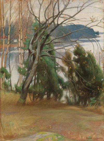  de Pekka Halonen