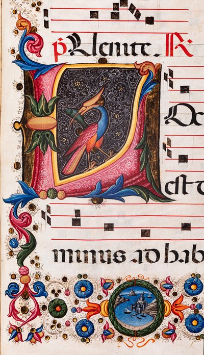 Biblioteca Piccolomini: libro de coro, cod. 5.E, ff. 63r con "Inicial foliada", de Pellegrino di Mariano. Detalle. de Pellegrino di Mariano