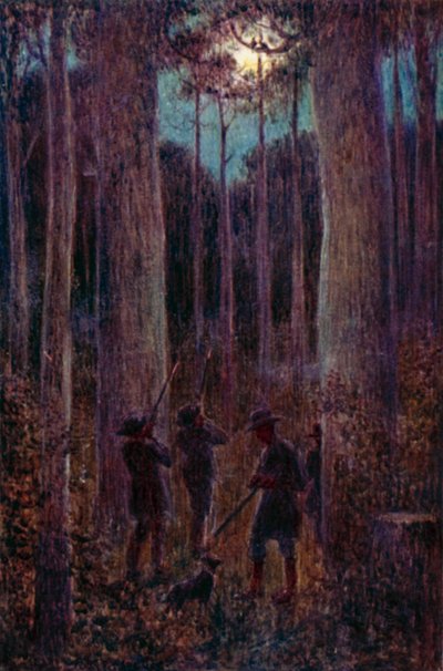 El bosque australiano de noche, "mooning" zarigüeyas de Percy F.S. (after) Spence