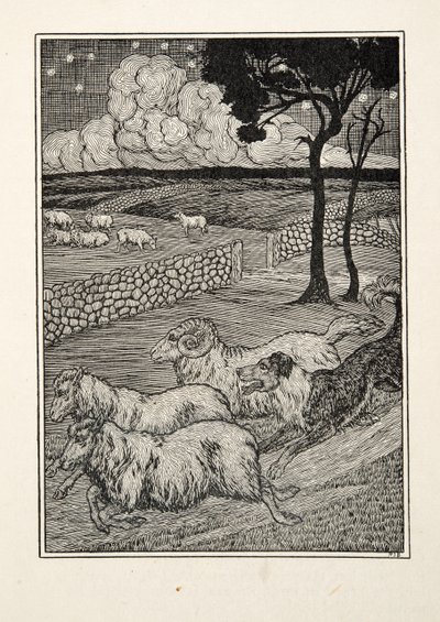 Un ladrón de ovejas canino, de Cien anécdotas de animales, pub. 1924 de Percy J. Billingshurst