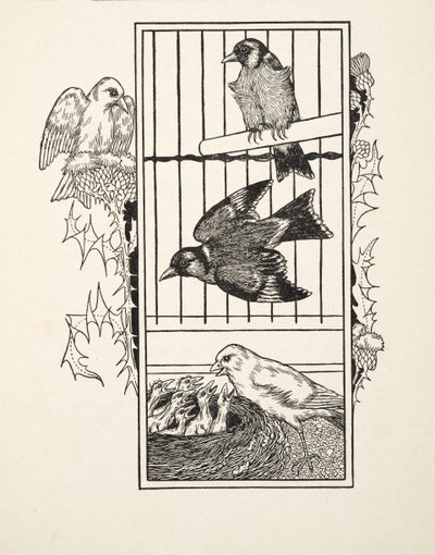 Un canario caritativo, de Cien anécdotas de animales, pub. 1924 de Percy J. Billingshurst