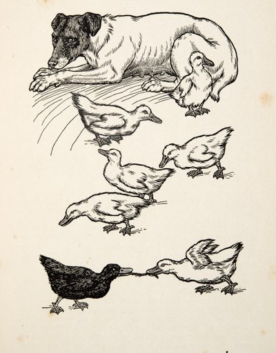 Una madre adoptiva singular, de Cien anécdotas de animales, pub. 1924 de Percy J. Billingshurst