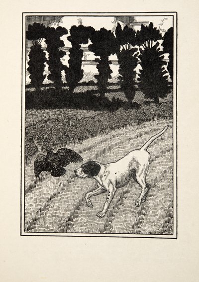 Engañando al cazador, de Cien anécdotas de animales, pub. 1924 de Percy J. Billingshurst