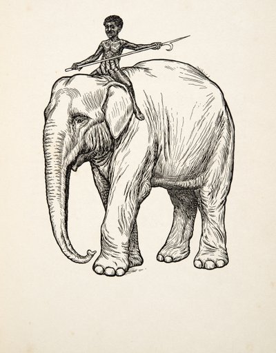 Remordimiento, de Cien anécdotas de animales, pub. 1924 de Percy J. Billingshurst