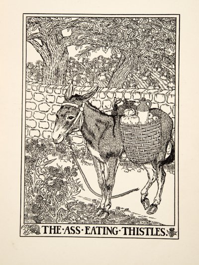 El Asno Comiendo Cardos, de Cien Fábulas de Esopo, pub.1903 de Percy J. Billingshurst