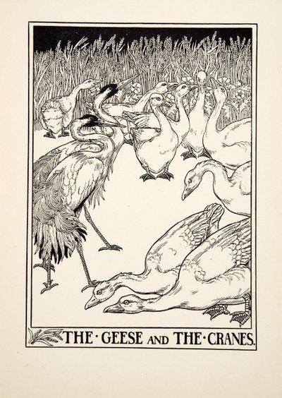 Los Gansos y las Grullas, de Cien Fábulas de Esopo, pub.1903 de Percy J. Billingshurst