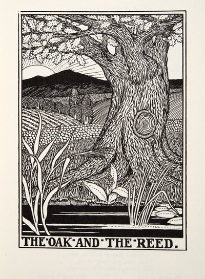 El Roble y el Junco, de las Fábulas de Fontaine, pub. 1905 de Percy J. Billingshurst