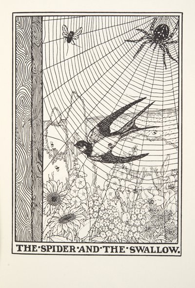 La araña y la golondrina, de las Fábulas de Fontaine, pub. 1905 de Percy J. Billingshurst