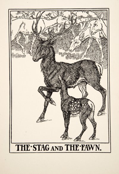 El ciervo y el cervatillo, de Cien fábulas de Esopo, pub.1903 de Percy J. Billingshurst