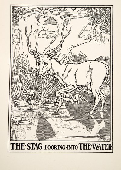 El ciervo mirando al agua, de Cien fábulas de Esopo, pub.1903 (grabado) de Percy J. Billingshurst