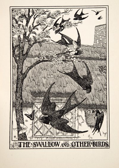 La golondrina y otras aves, de Cien fábulas de Esopo, pub.1903 de Percy J. Billingshurst
