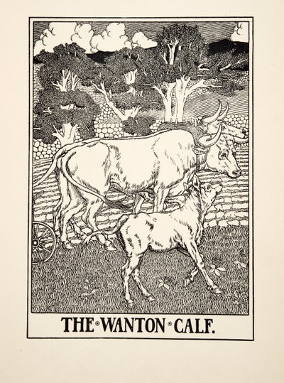 El Ternero Lujurioso, de Cien Fábulas de Esopo, pub.1903 de Percy J. Billingshurst