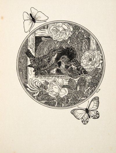 Chochines aprendiendo a cantar, de Cien anécdotas de animales, pub. 1924 de Percy J. Billingshurst