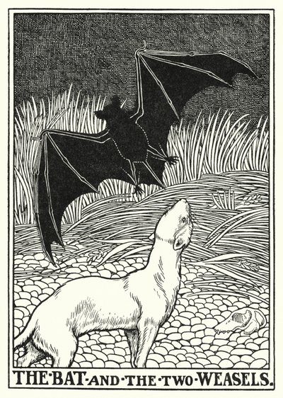 Fábulas de La Fontaine: El murciélago y las dos comadrejas (litografía) de Percy James Billinghurst
