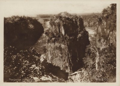 El desfiladero desde el hotel, Cataratas Victoria (foto en blanco y negro) de Percy M. Clark