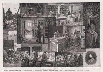 El abadejo del mar a la mesa de Percy Robert Craft