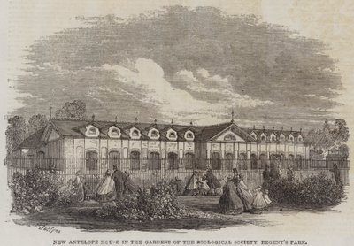 La Nueva Casa de Antílopes en los Jardines de la Sociedad Zoológica, Regent