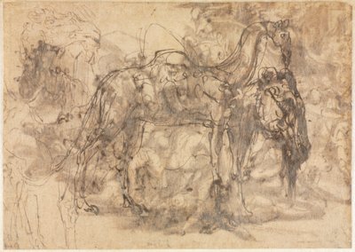 Sketches of Animals (verso) de Perino del Vaga