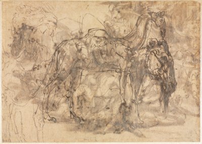 Bocetos de animales verso, c. 1545-1547 de Perino del Vaga