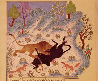Un león ataca y mata a un toro, de un manuscrito de Kabila wa Dimna (gouache sobre papel) de Persian School