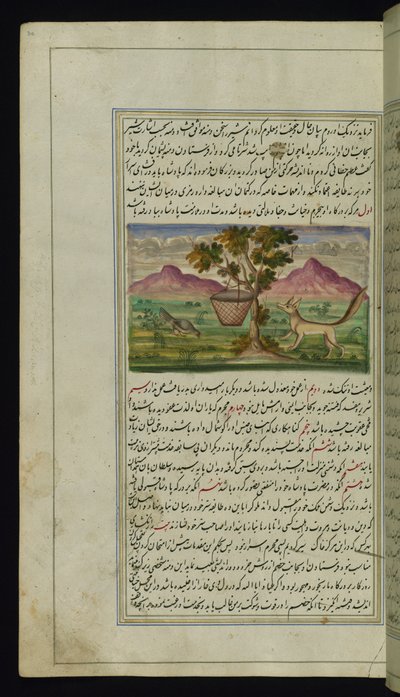 Un zorro y un tambor de Luces de Canopus de Persian School