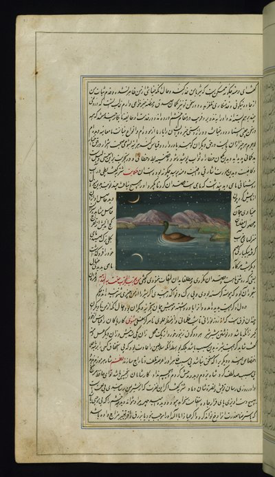 Un ganso y el reflejo de la luna en el agua de Luces de Canopus de Persian School