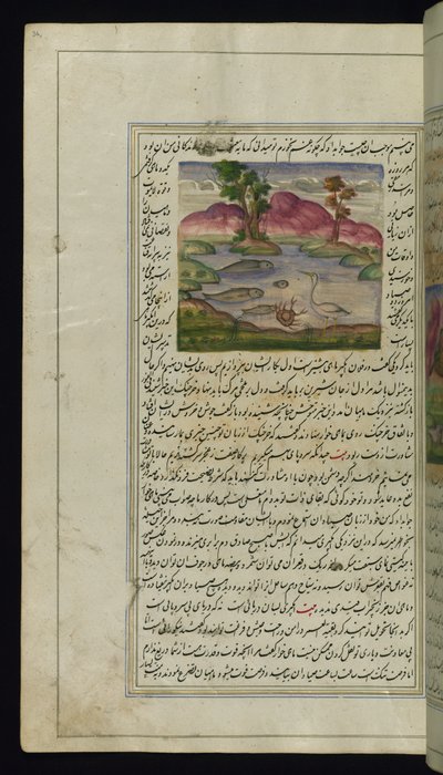 Una garza, un cangrejo y un pez de Luces de Canopus de Persian School