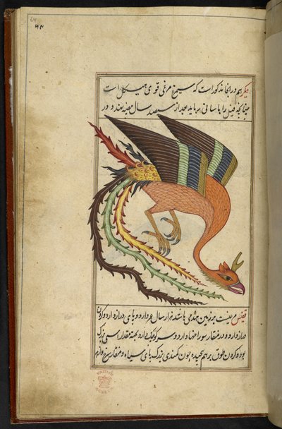 Añadir MS 15241 f.64r El simurgh, un pájaro del trueno iraní, de la colección de rarezas 