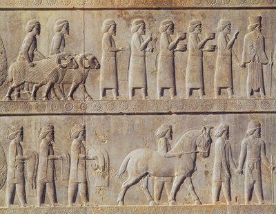 (Detalle) del friso en relieve en la escalera este del Apadana (sala de audiencias) que representa a delegados de las tierras sujetas al imperio llevando regalos lujosos para una ceremonia, periodo aqueménida, c.515 a.C. de Persian School