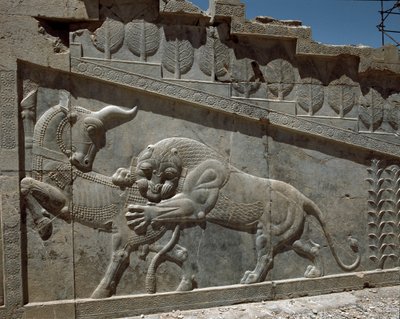 Lucha entre un toro y un león - Relieves de la escalera oriental de la Apadana de Persian School