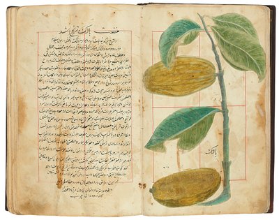 Hassan Bin Baqir Bin Jarrah: Gulzar Al-Rayahin, Qajar Irán de Persian School