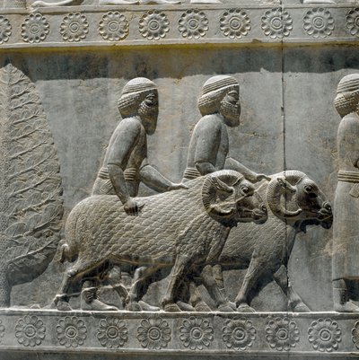 Los sogdianos traen regalos a Darío I. Relieves de la escalera oriental de la Apadana, siglo VI a.C. de Persian School